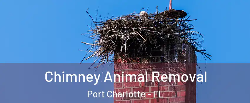  Chimney Animal Removal Port Charlotte - FL