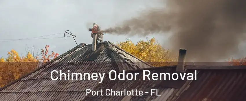  Chimney Odor Removal Port Charlotte - FL