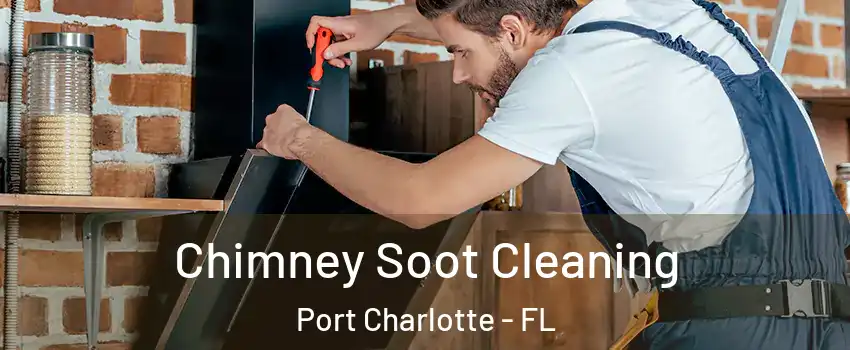 Chimney Soot Cleaning Port Charlotte - FL