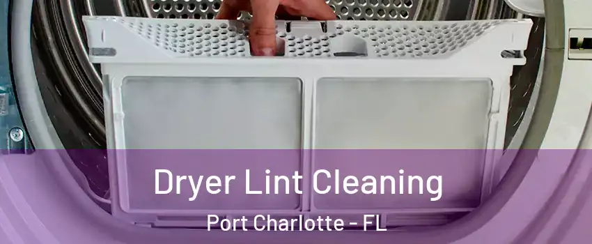  Dryer Lint Cleaning Port Charlotte - FL