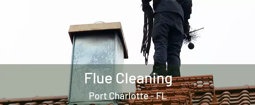  Flue Cleaning Port Charlotte - FL