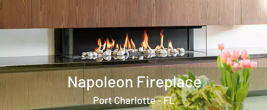  Napoleon Fireplace Port Charlotte - FL